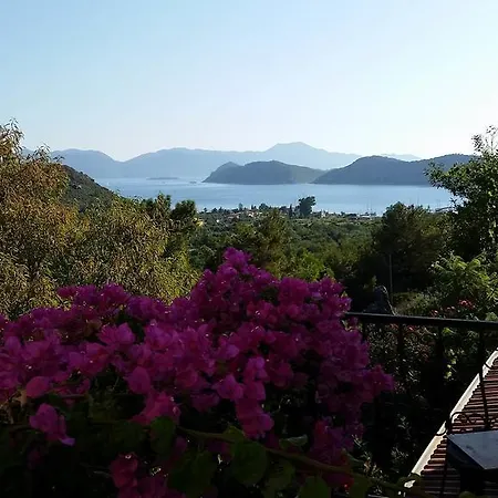Klaas * Sogut (Aegean)
